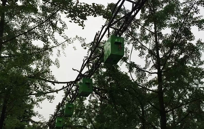 露天场景户外灯光布置