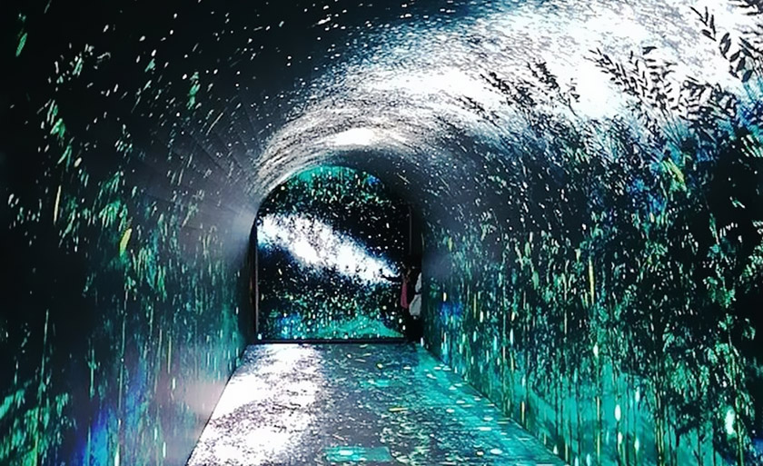 自然博物馆时光隧道