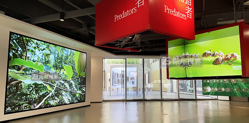 公园植物主题数字展厅设计案例