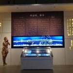 如何巧妙地借助双屏联动技术，实现展示手段的多样化与创新？