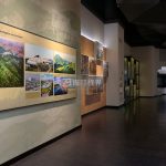 从方案到效果：互动装置在历史文化展厅布置中的核心应用解析。